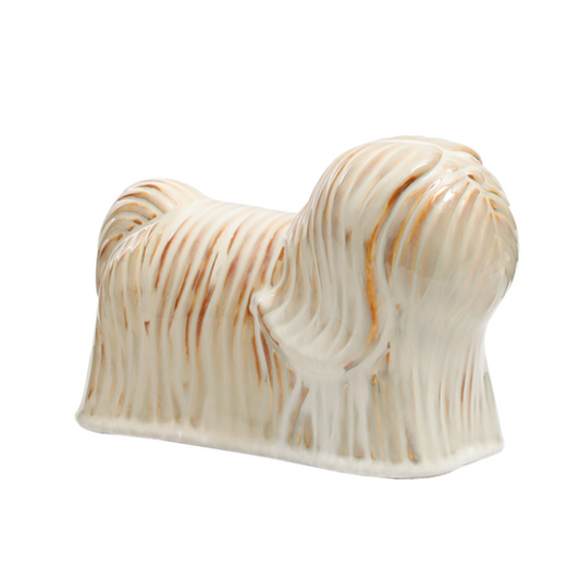 Shaggy Dog