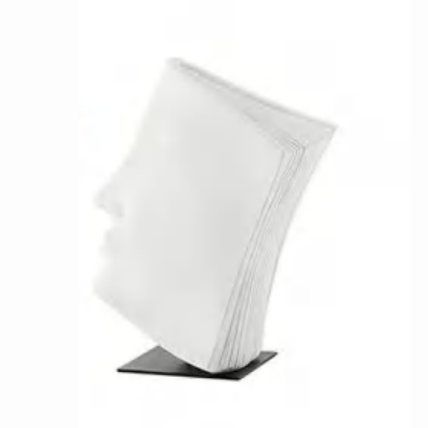 Silvio Book Face Sculpture