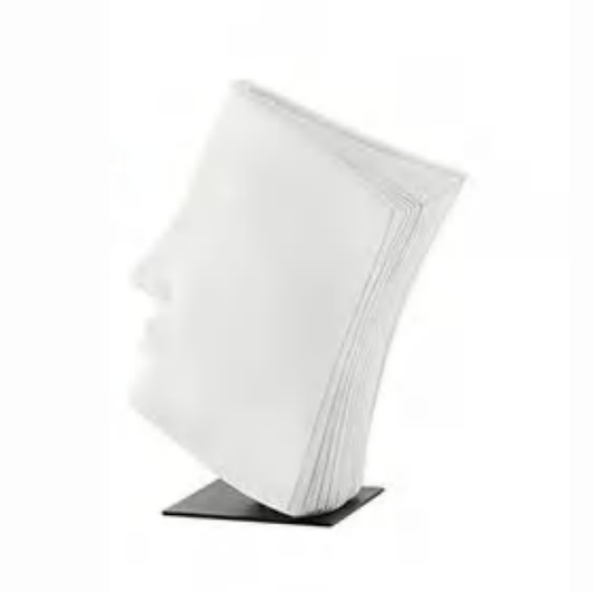 Silvio Book Face Sculpture