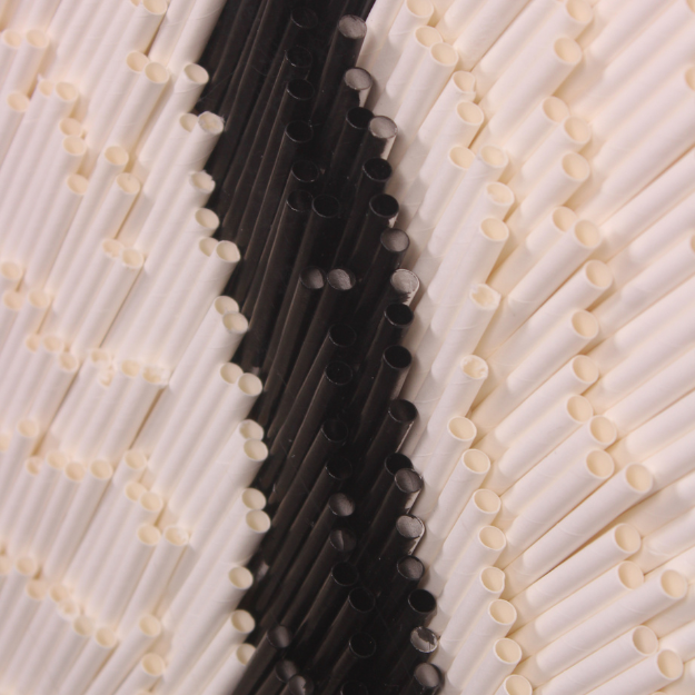 3D Black And White Wooden Stick Wall Art